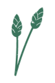 icono-naturaleza-planta-laura-san-felipe-comunicacion